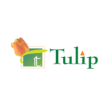 Tulip Infratech